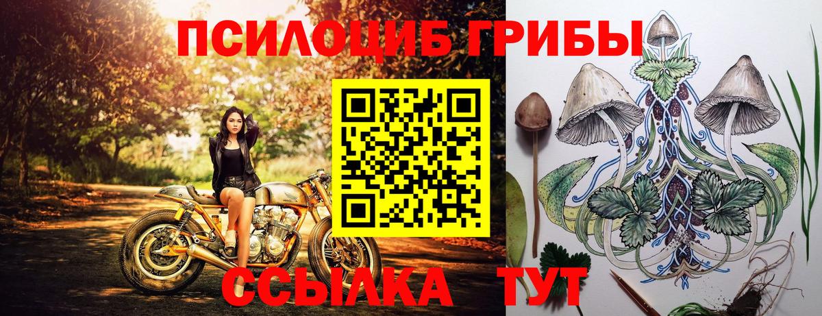Галлюциногенные грибы GOLDEN TEACHER Прохладный