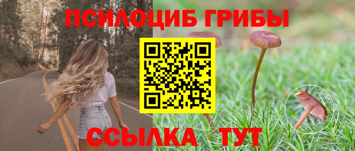Псилоцибиновые грибы прущие грибы  Псилоцибиновые грибы ЛСД  купить  цена  Вход с VPN  Прохладный 